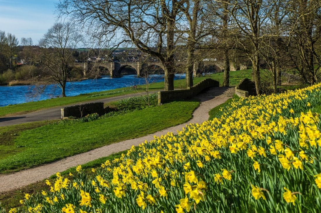 Bridge of Dee in spring