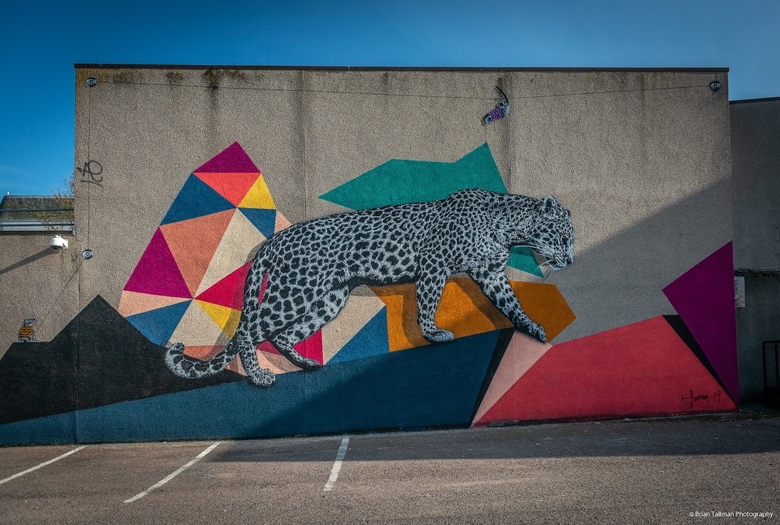 Street art in Aberdeen (Photo: Brian Tall)