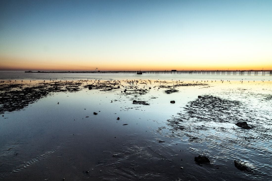 Looking out to sea on the Essex coast