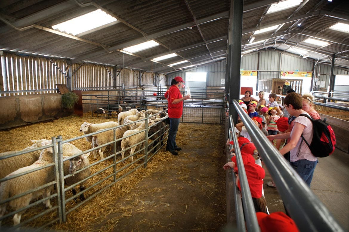 walby farm in carlisle