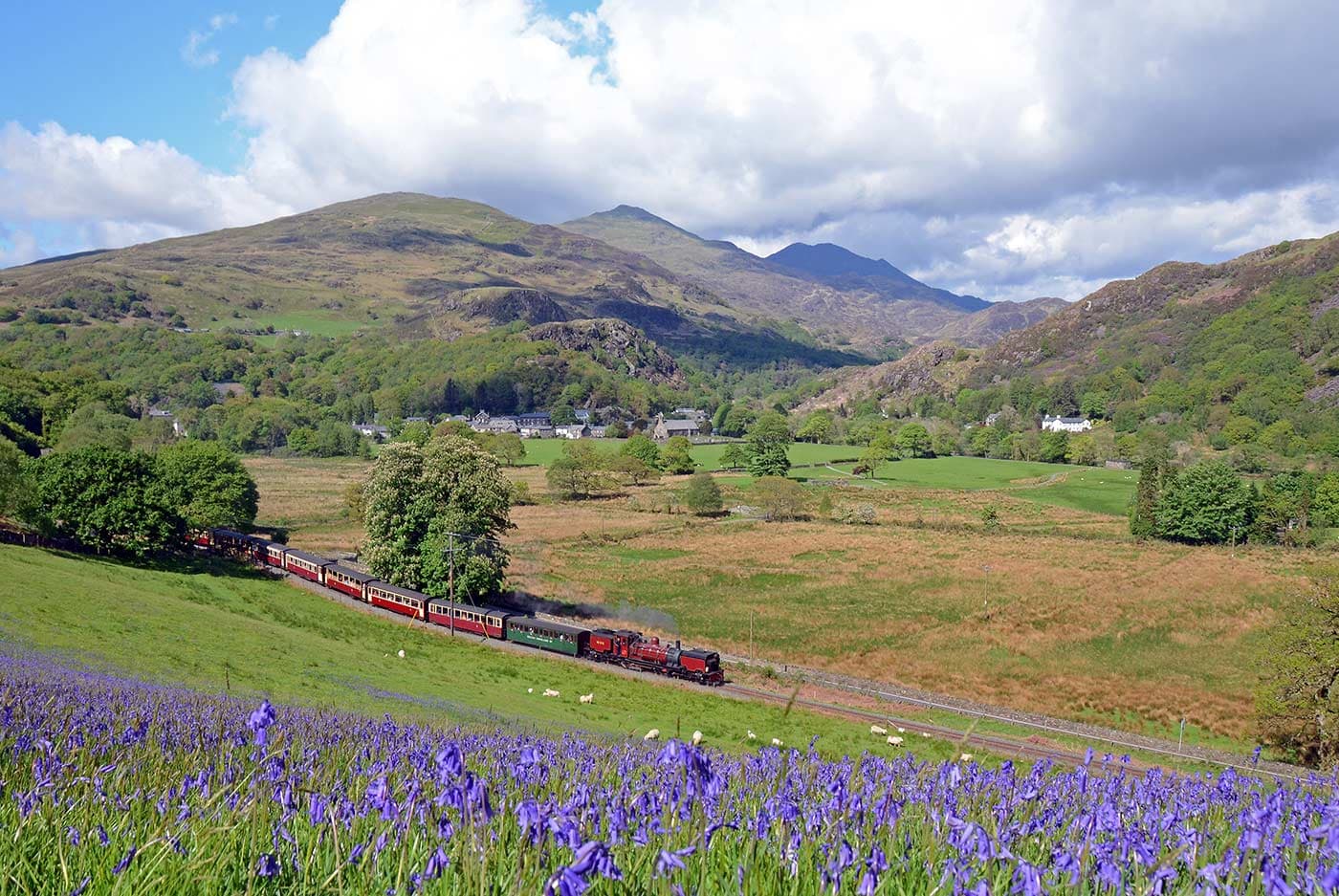 Ffestiniog and Welsh Highland Railways