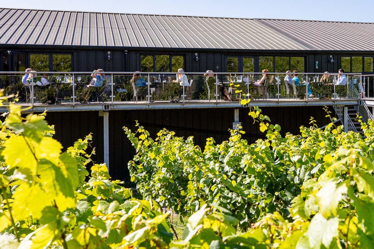 Bolney Wine Estate balcony overlooking the vines (Photo: Chris Orange)