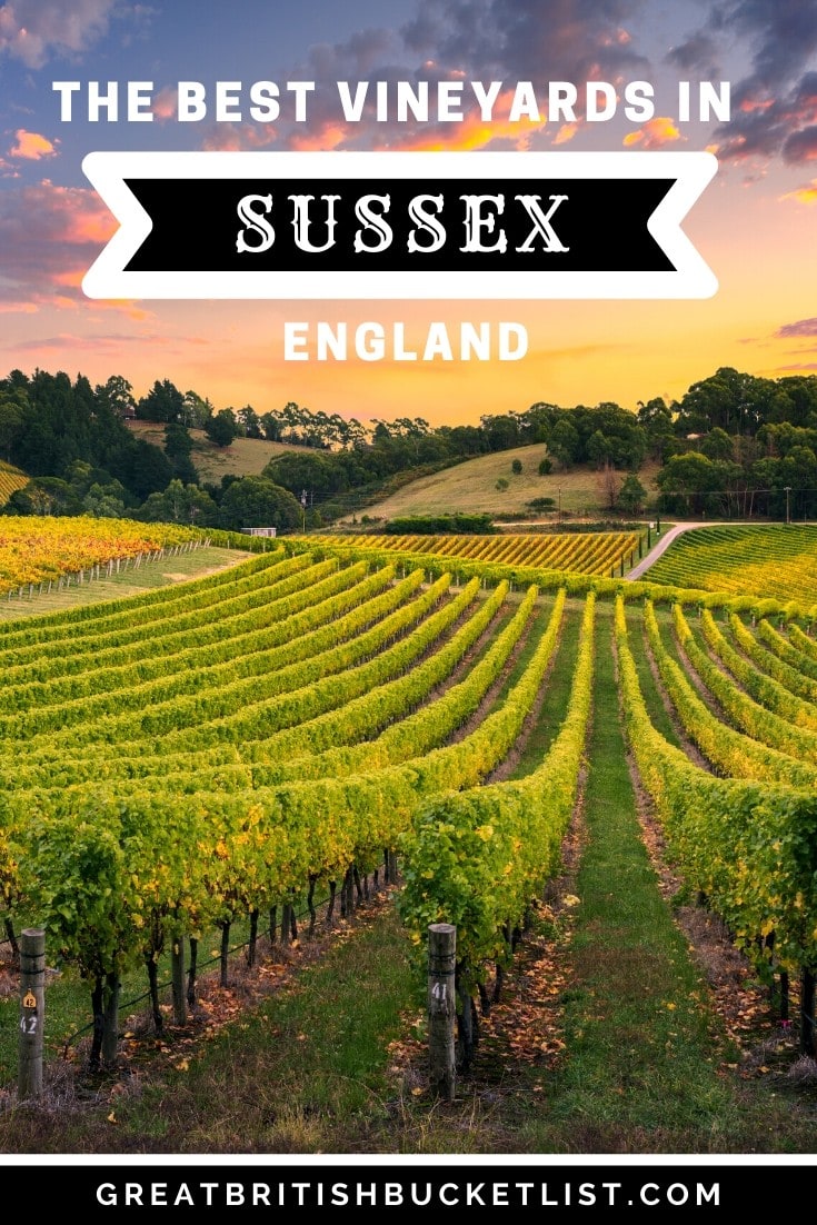 vineyard tours west sussex