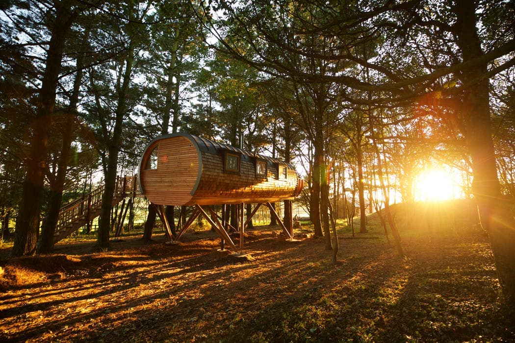 The Treehouses at Pickwell Manor