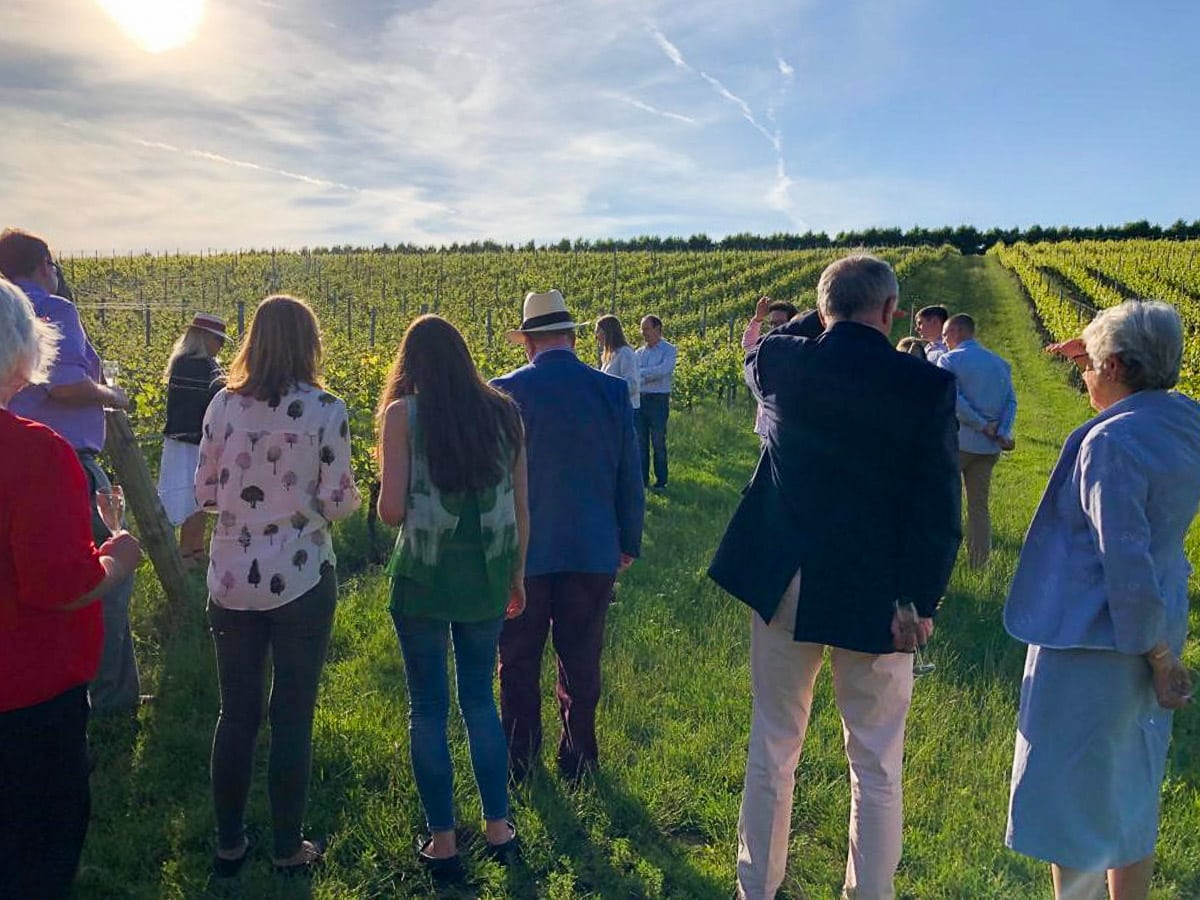 Wine tour at Wiston Estate, West Sussex