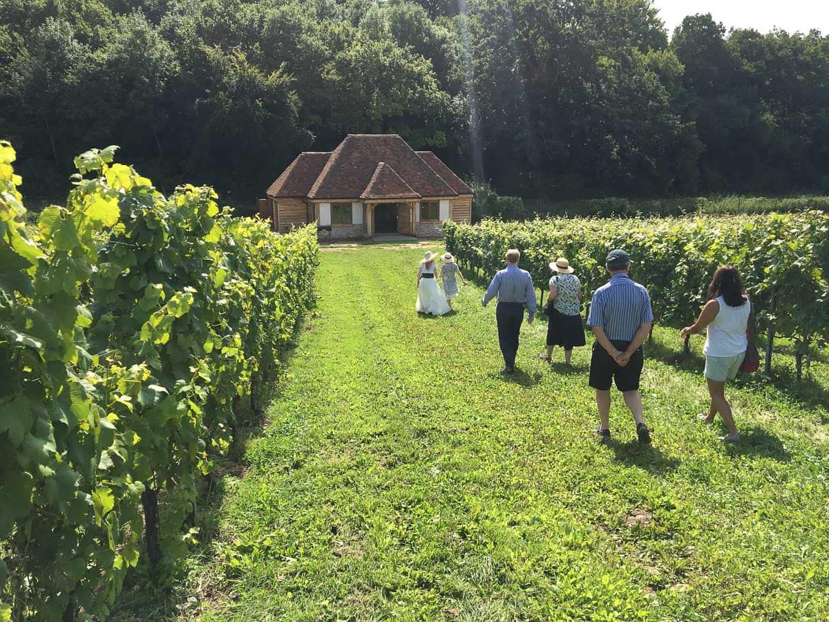 vineyard tours west sussex