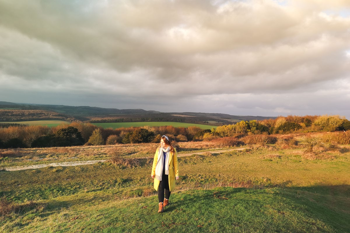 south downs national park