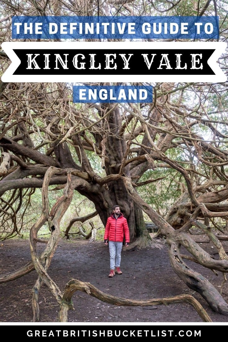 A Detailed Guide To The Kingley Vale Walk, England