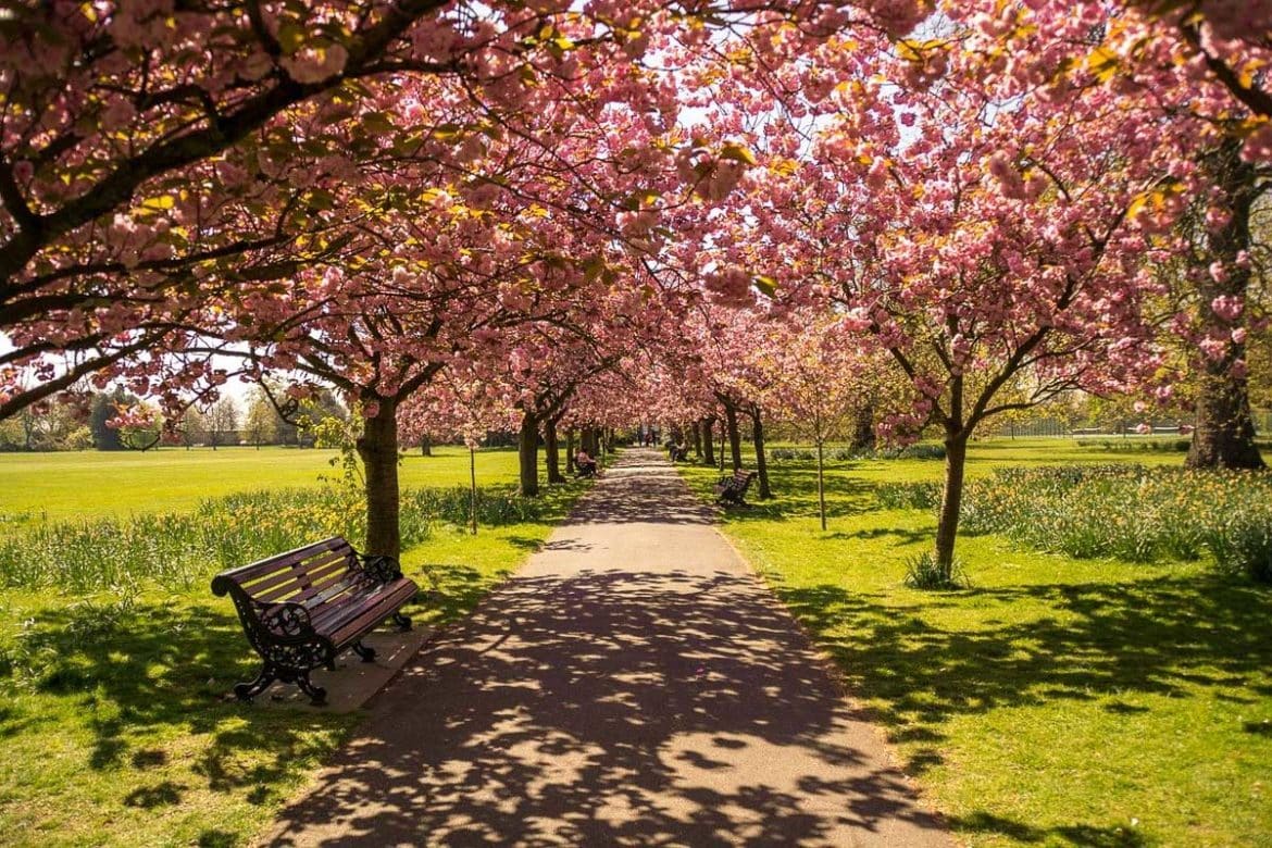Best Hyde Park Picnic Spots (2022 Guide)
