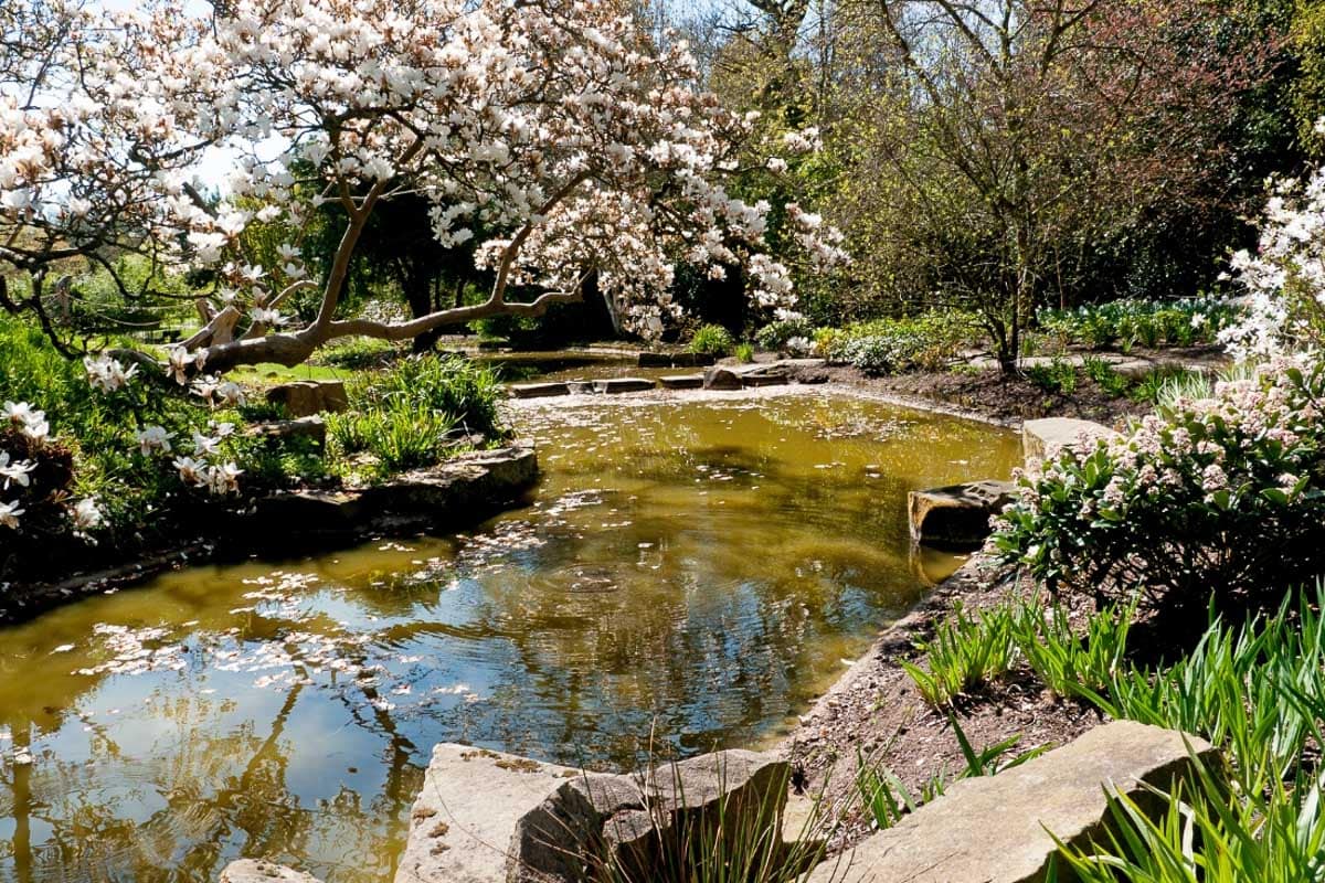Gardens at Cliveden, Buckinghamshire