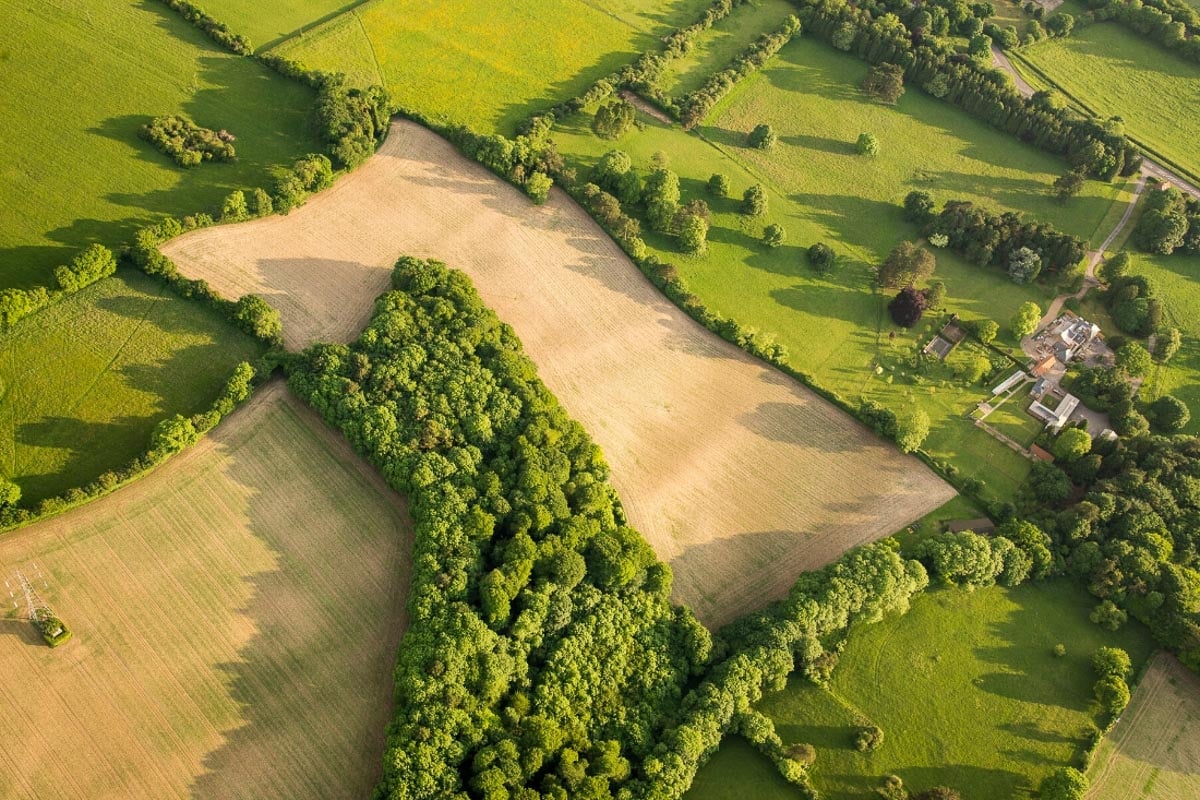 Buckinghamshire countryside