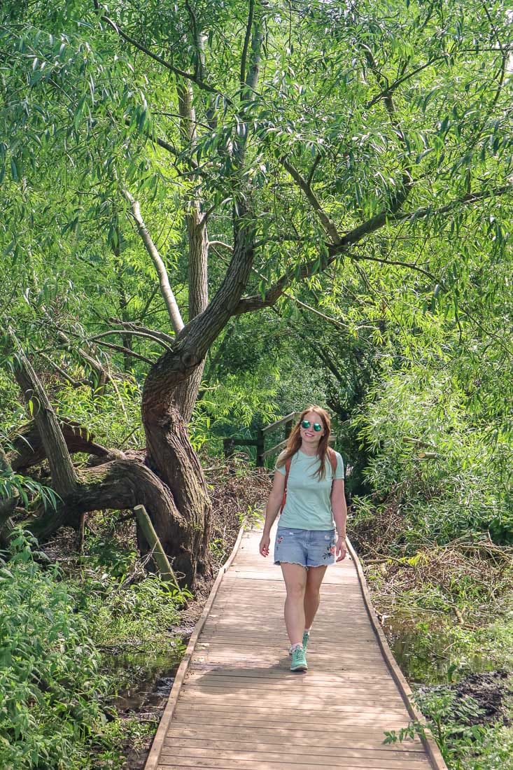 We loved this part of the Chess Valley Walk