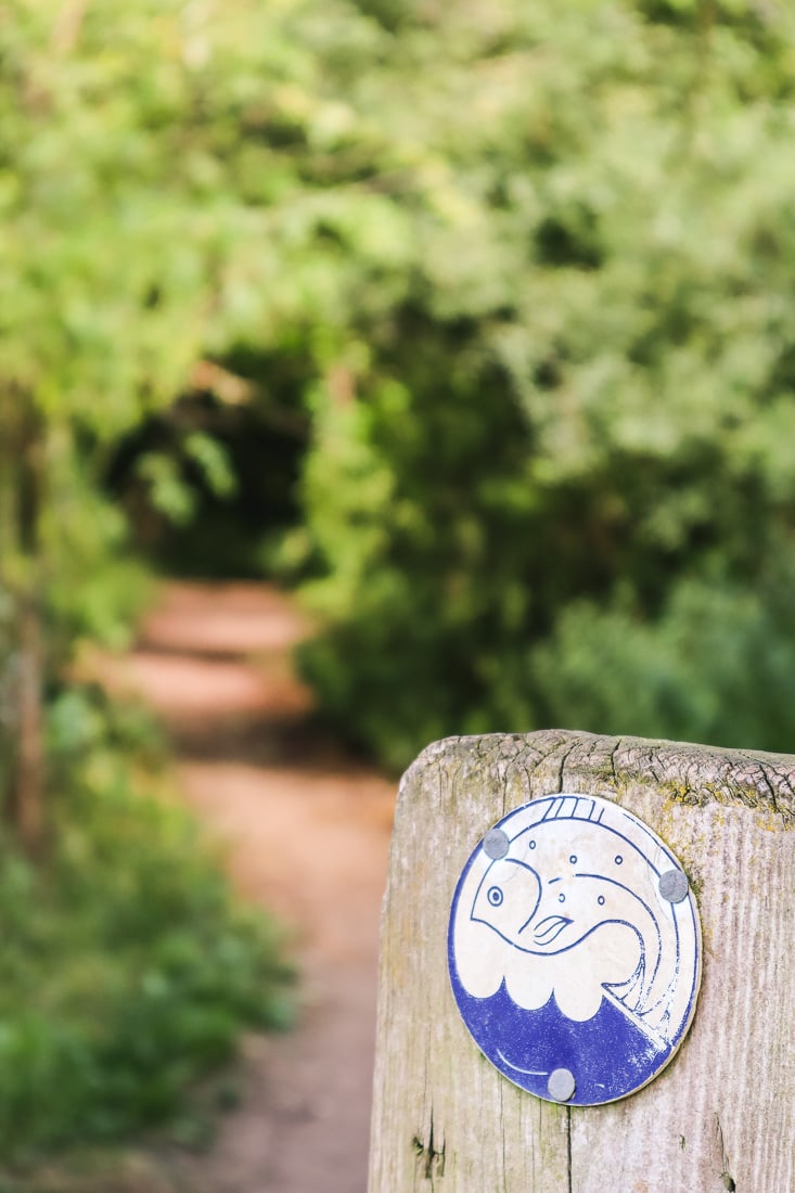 Following the fish symbol on The Chess Valley Walk