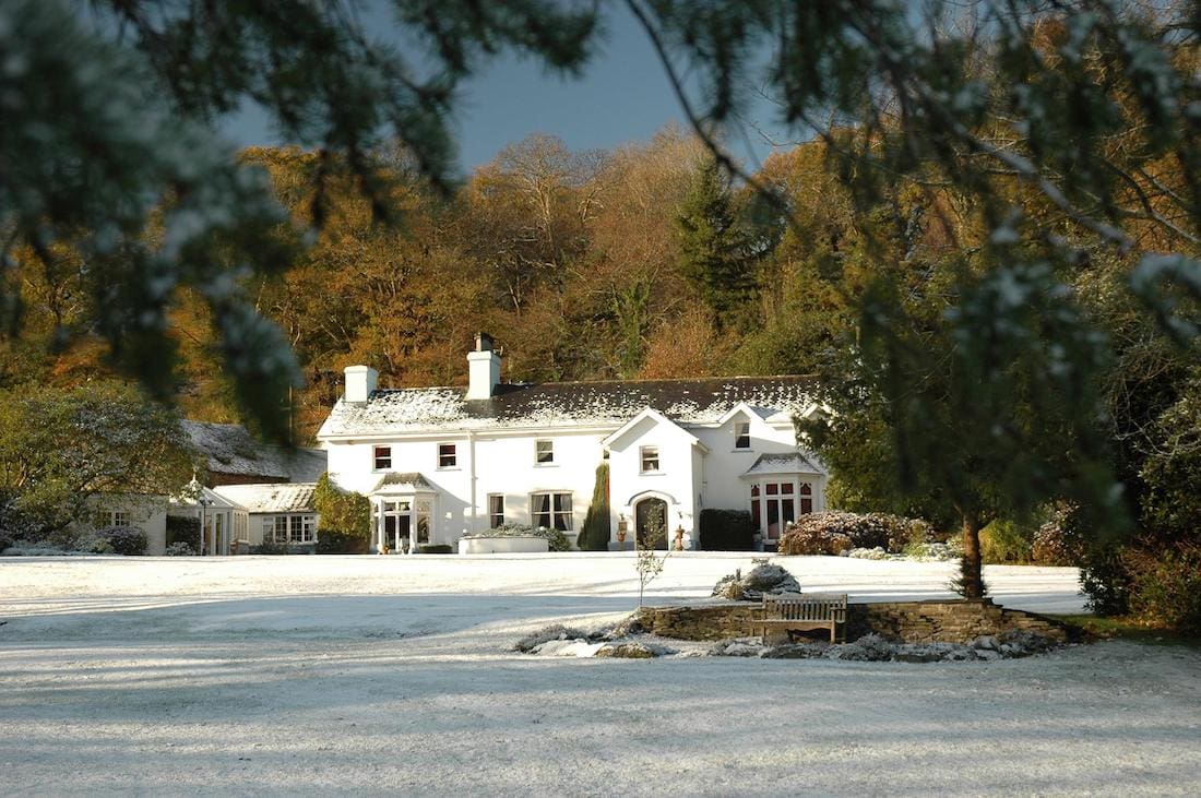 Ynyshir in the snow