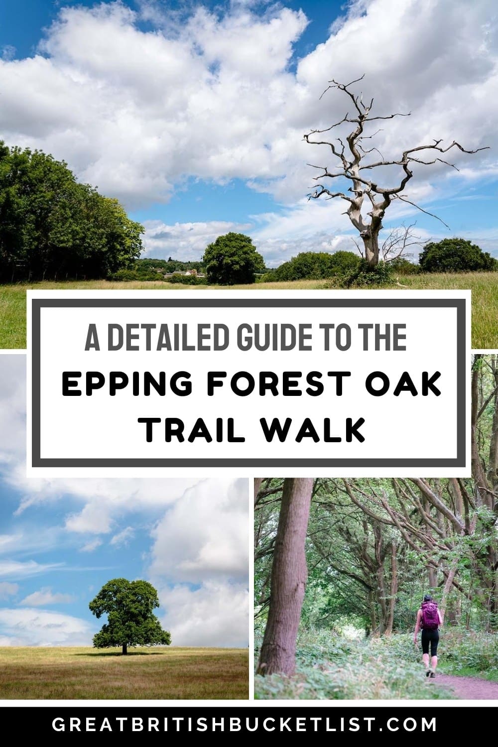 A Detailed Guide to the Epping Forest Oak Trail Walk 