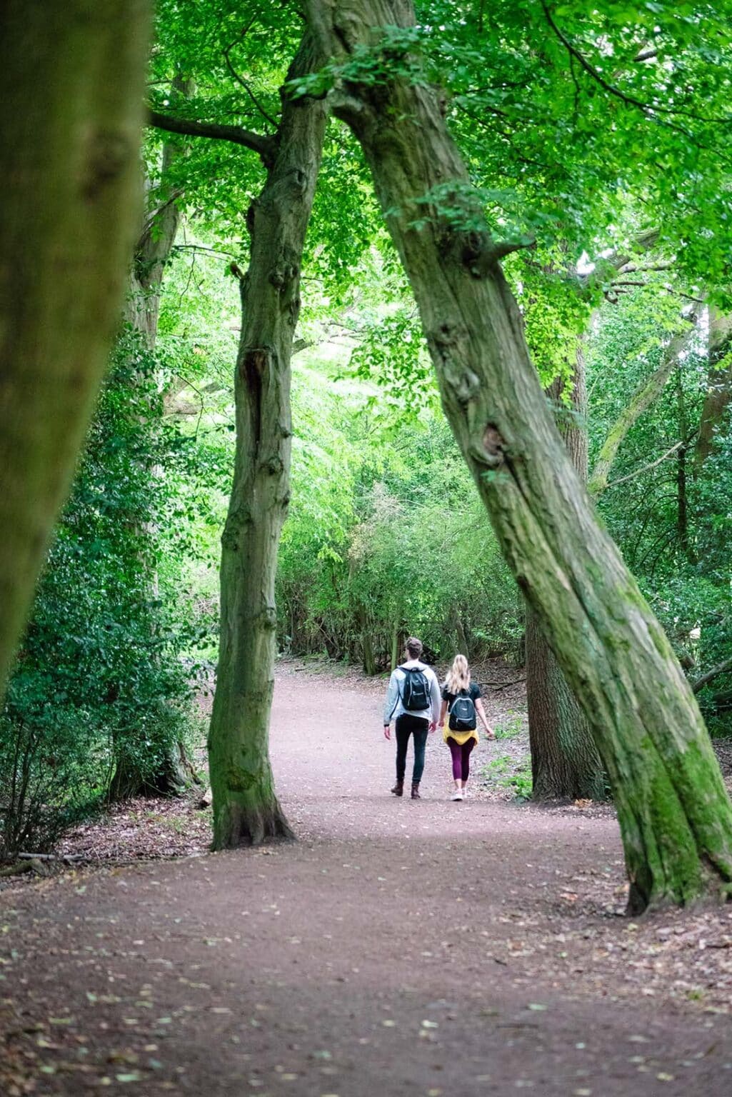A Detailed Guide to the Epping Forest Oak Trail Walk (2024 Guide)