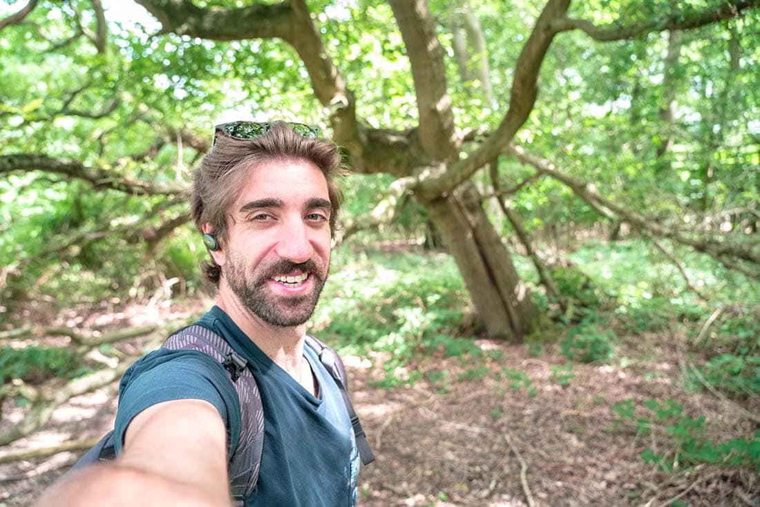 walking in epping forest