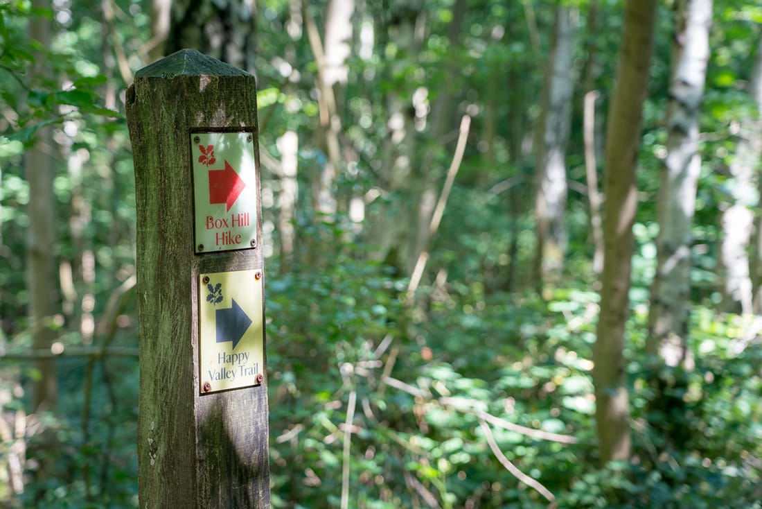 box hill hike signs