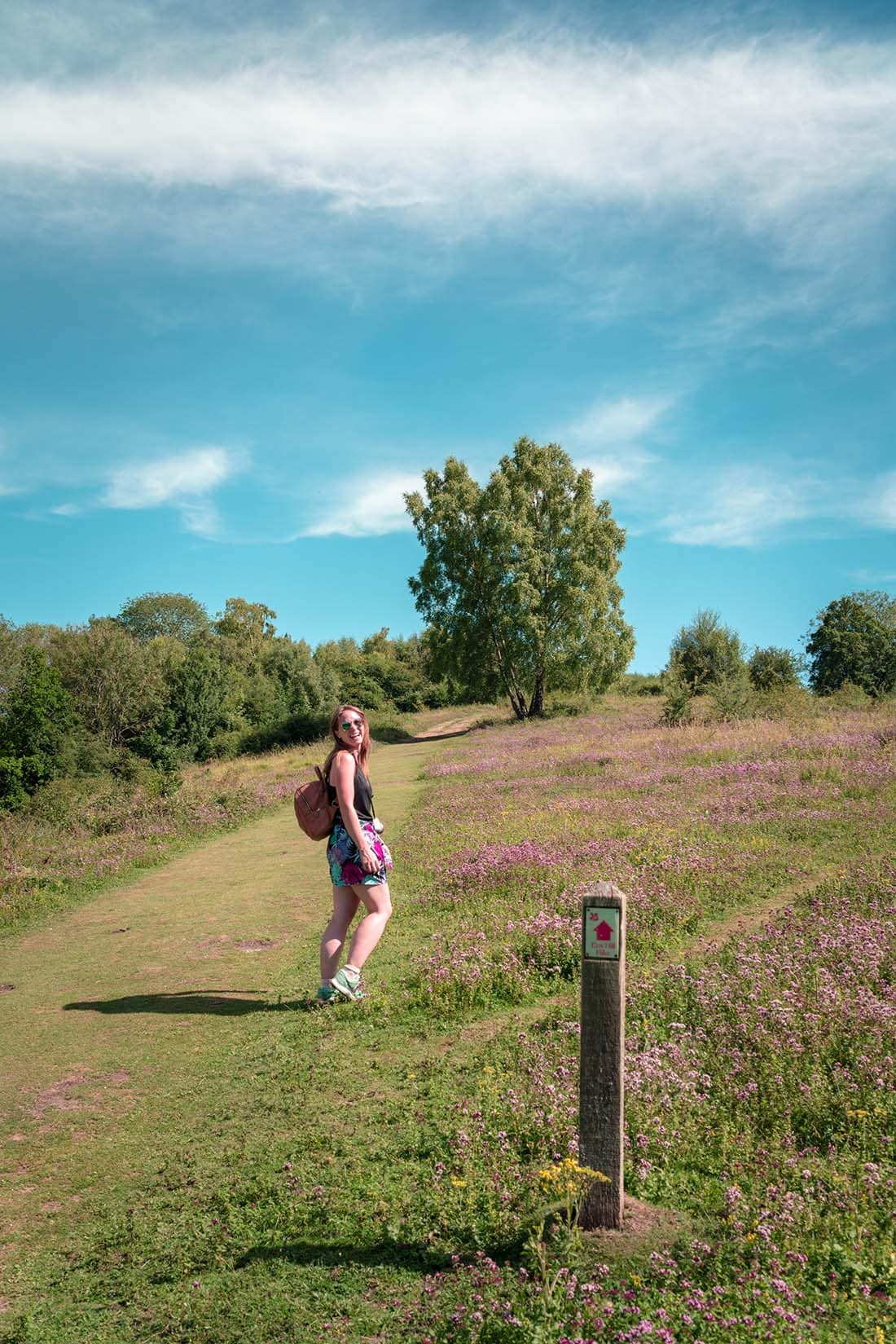 box hill walk