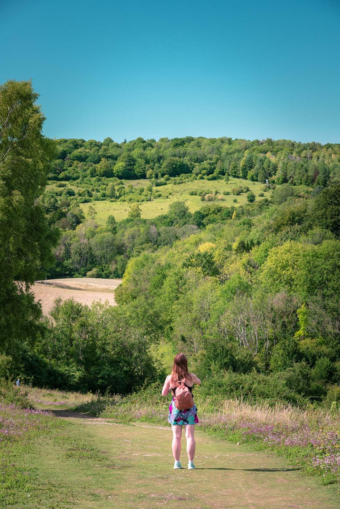 walking surrey hills