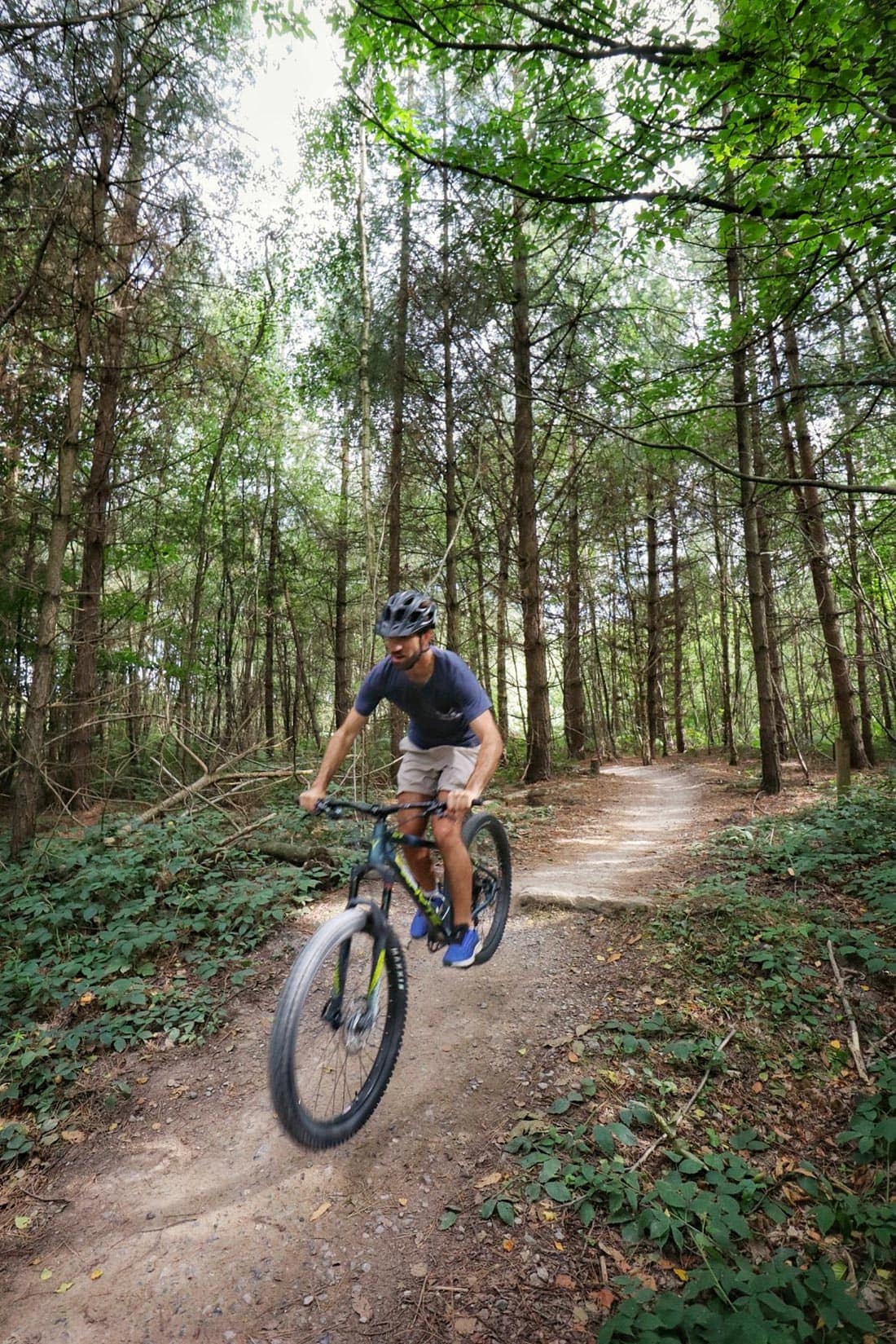 cycling at bedgebury pinetum