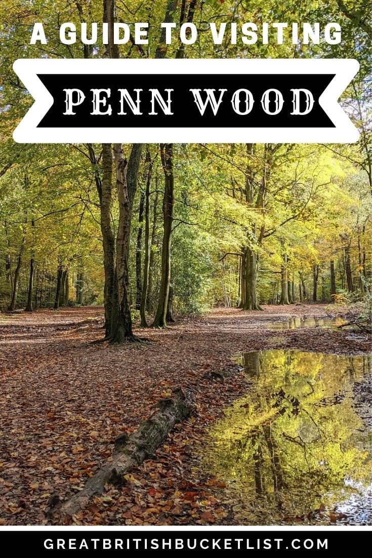 Guide To Visiting Penn Wood, Buckinghamshire