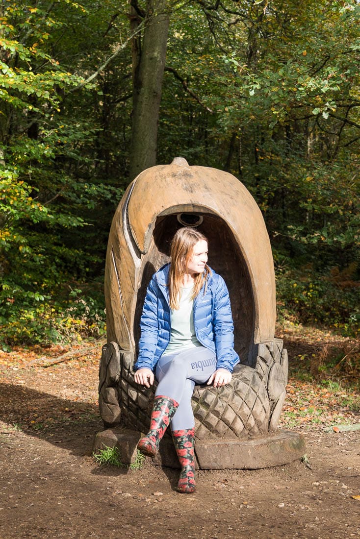 Acorn poetry chair in Penn Wood