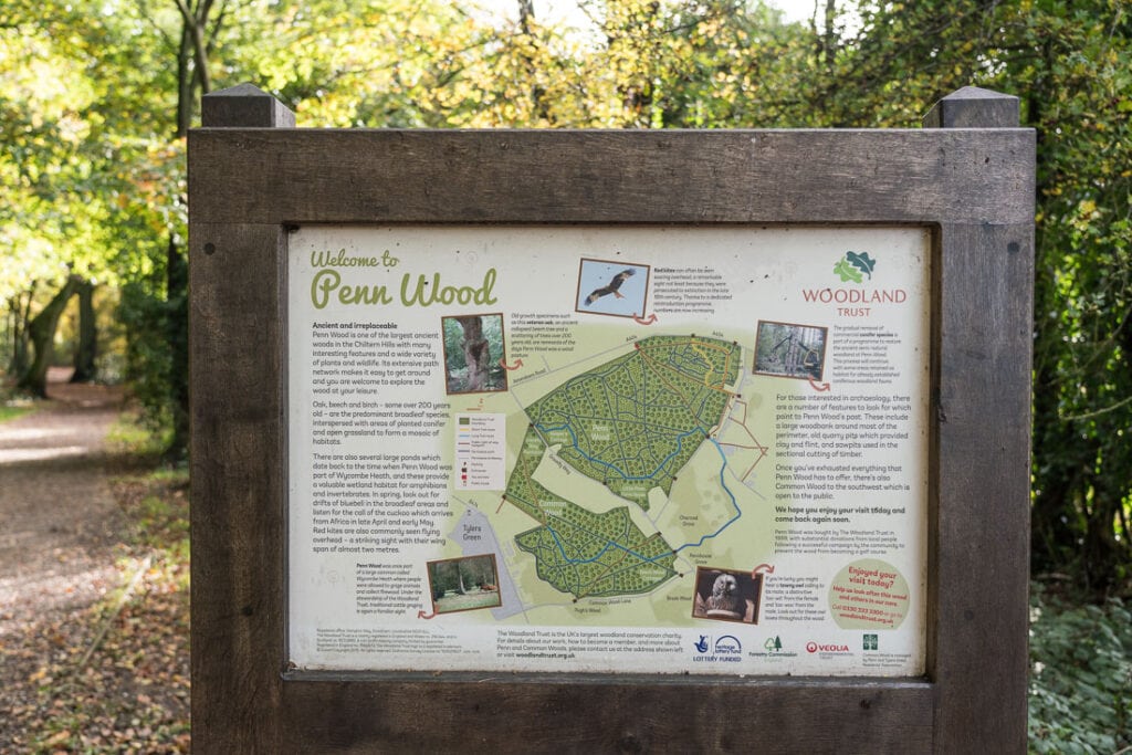 A Detailed Guide To Visiting Penn Wood, Buckinghamshire (2024 Guide)