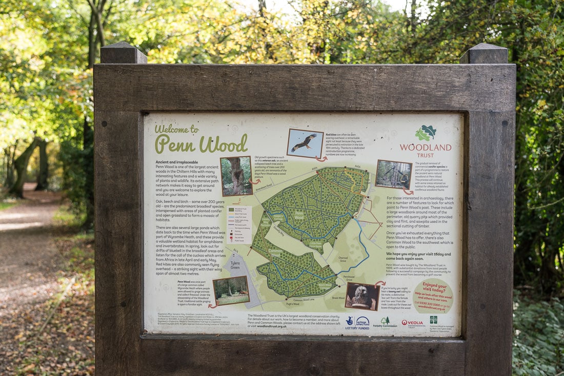 Penn Wood map