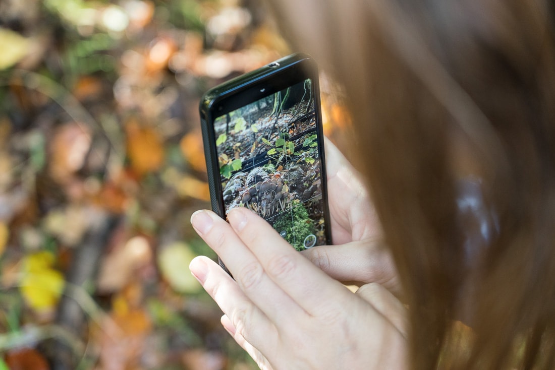 Taking photos of mushrooms in Penn Wood