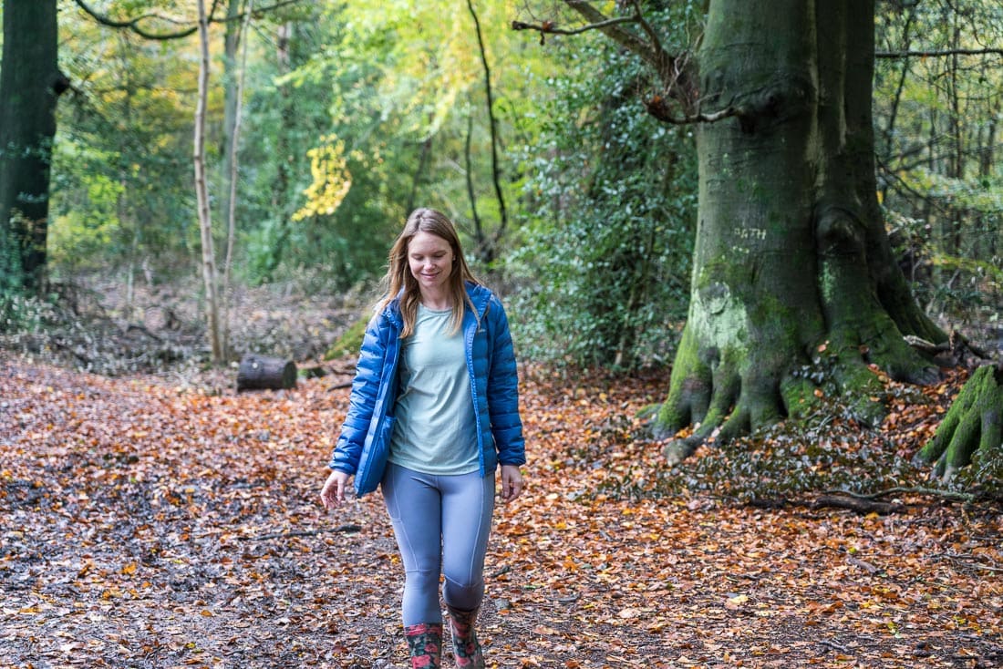 Walking in Penn Wood, Buckinghamshire