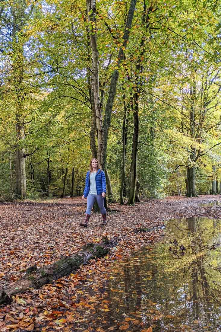 Walking in Penn Wood, Buckinghamshire