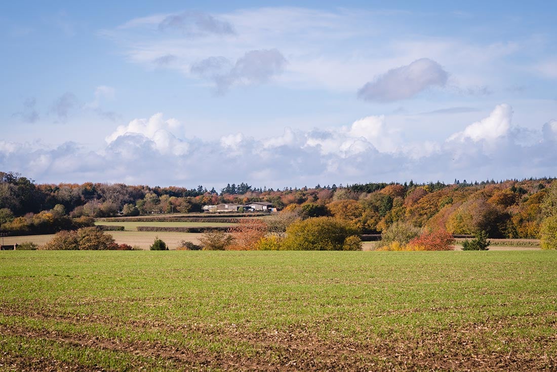 chiltern hills