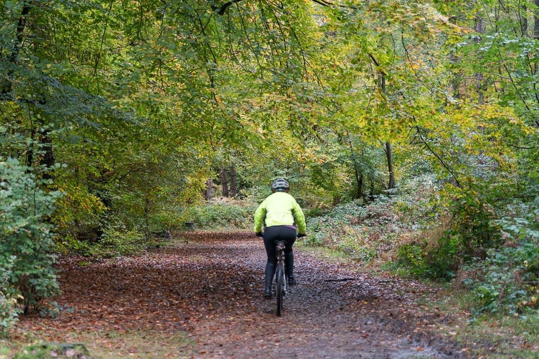 Cycling in Penn Wood