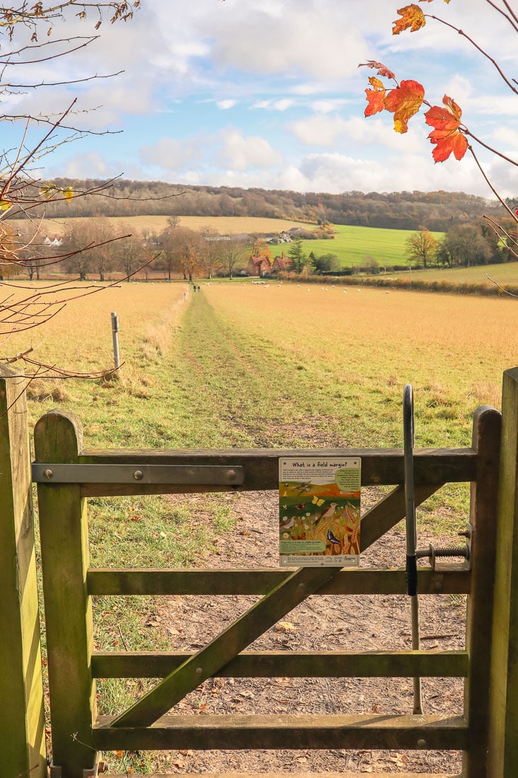 Pretty views through the gate towards Chequers Estate