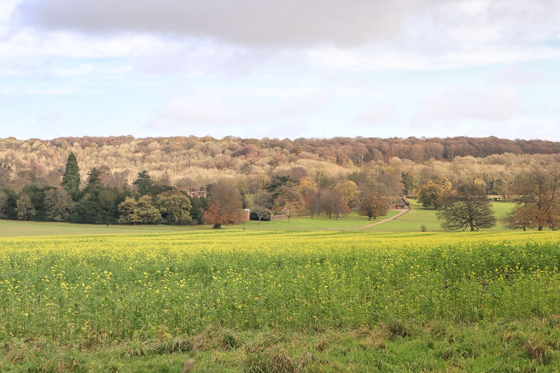 Views of Chequers, Buckinghamshire