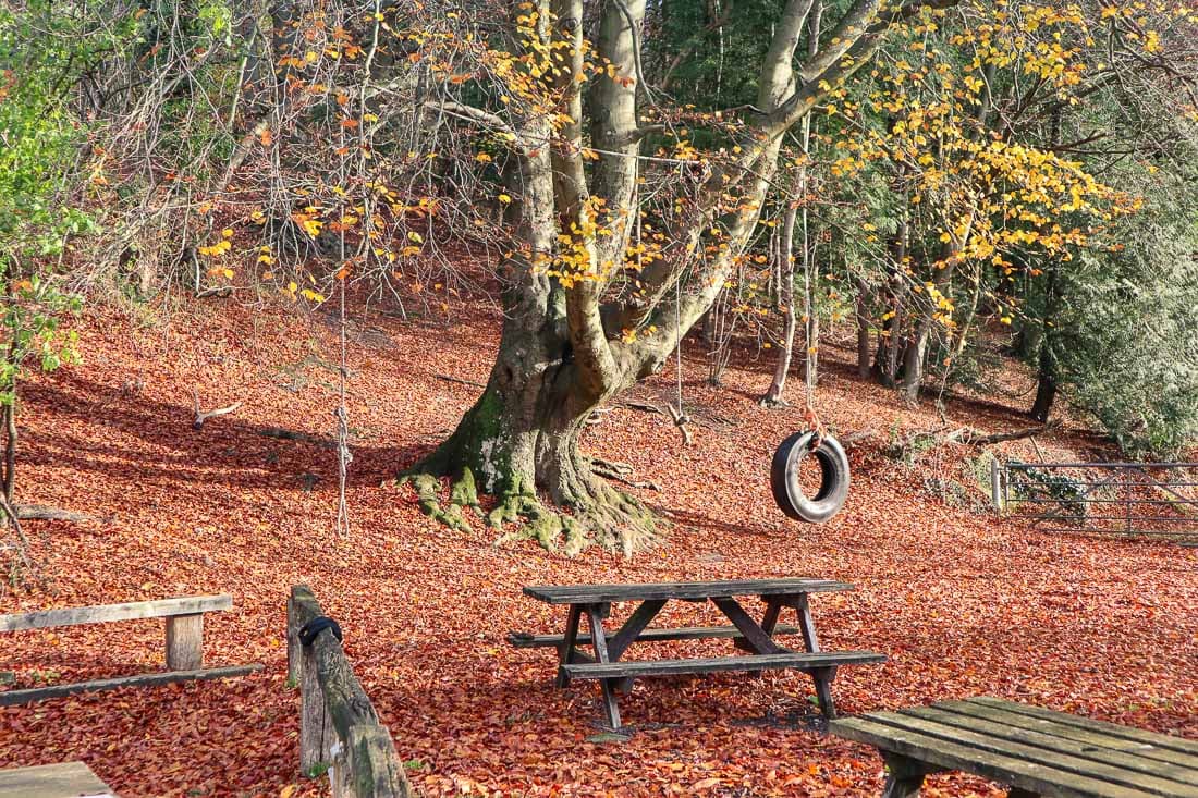 Outdoor area at The Plough at Cadsden