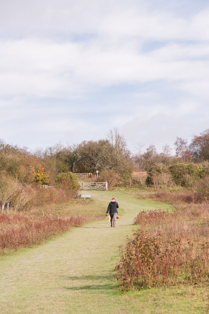 Heading up towards Pulpit Hill