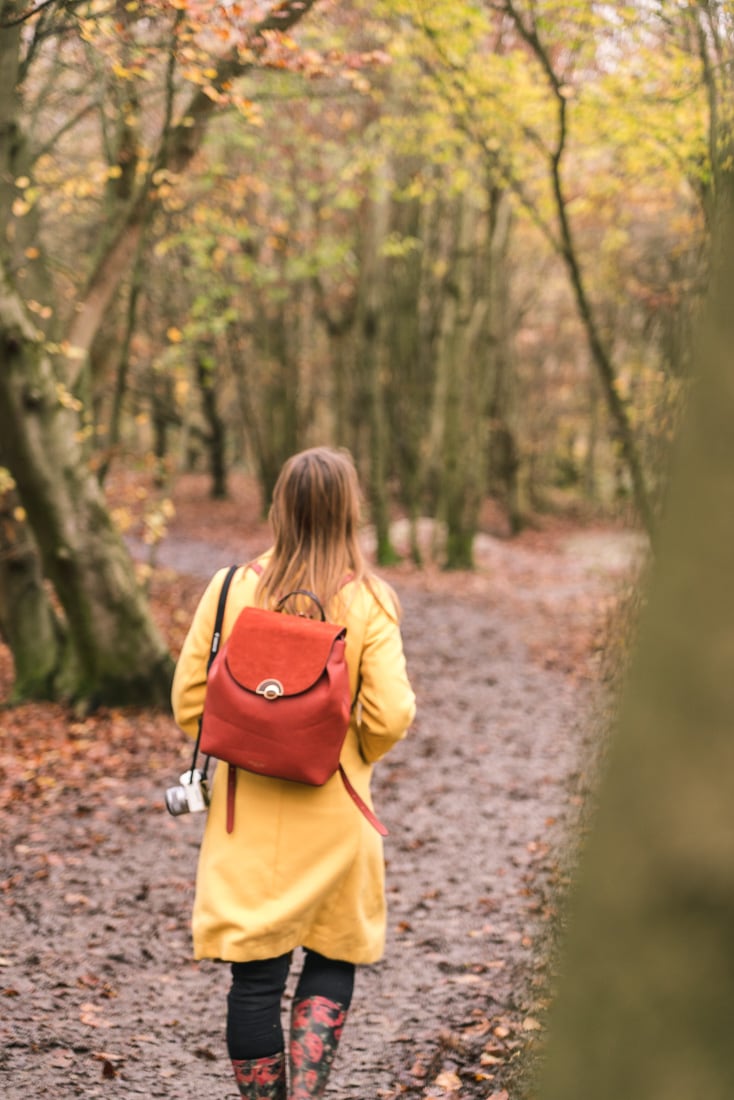 Pretty autumnal woodland views