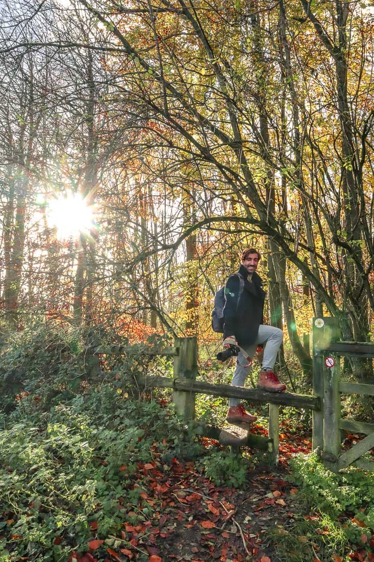 Macca enjoying the Whiteleaf walk in Buckinghamshire