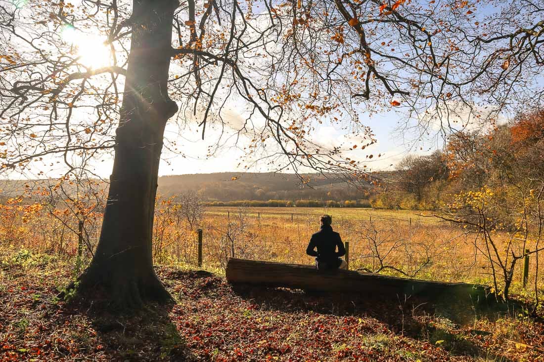 The perfect picnic spot on the Whiteleaf walk