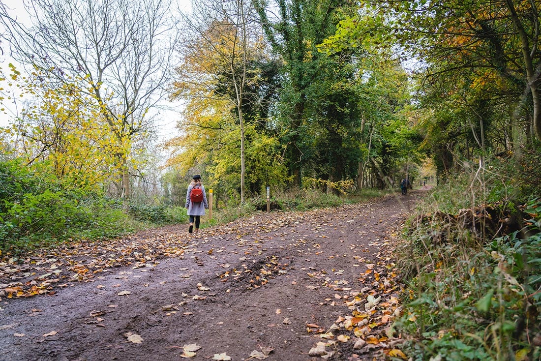 ivinghoe beacon boundary trail