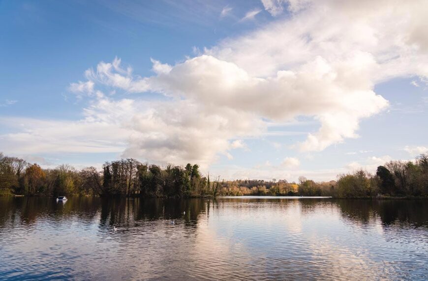 rickmansworth aquadrome