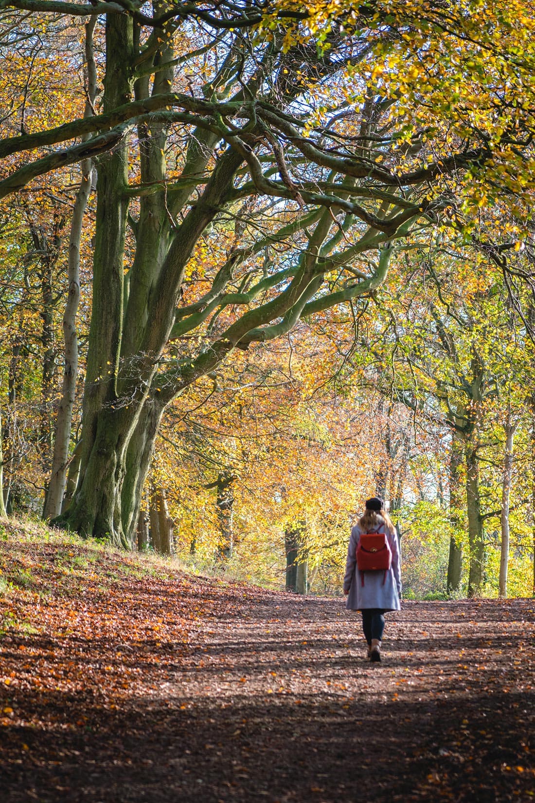 walks in buckinghamshire