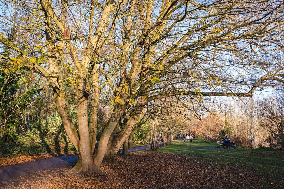 walks in hertfordshire