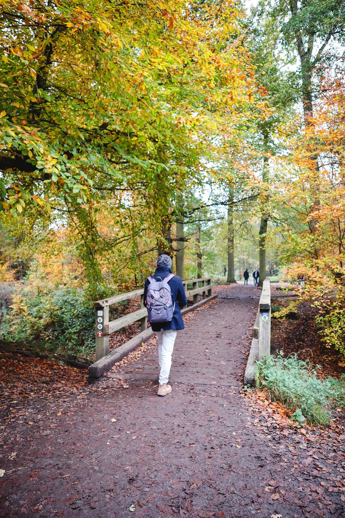 wooden bridge ashridge estate