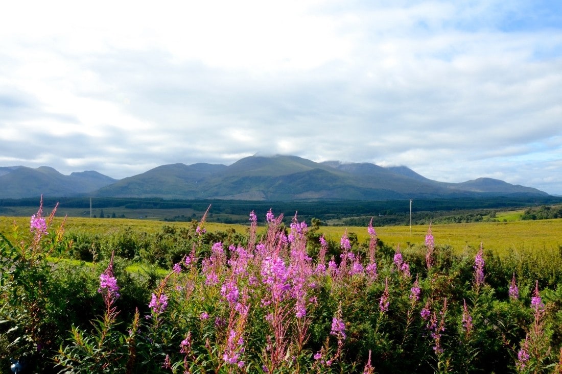 Springtime near Ben Nevis
