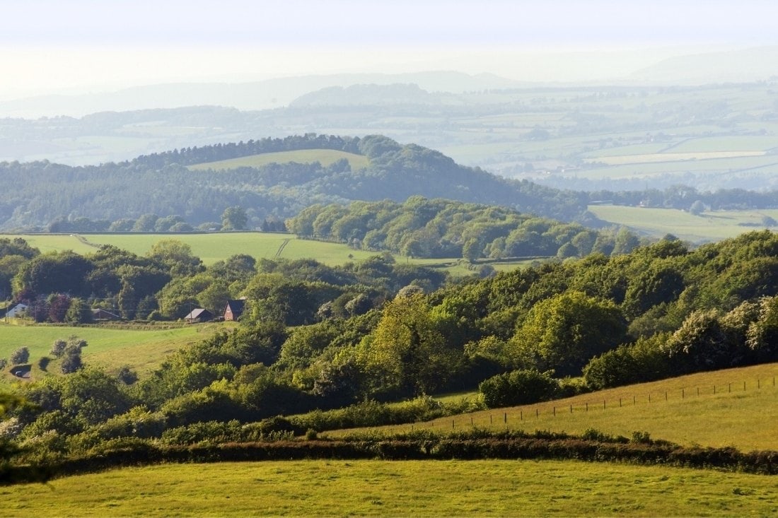 Rolling hills in the Forest of Dean