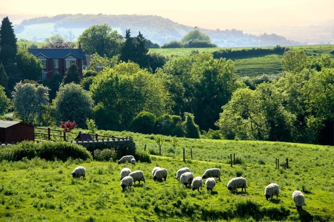 Farmland in the Forest of Dean