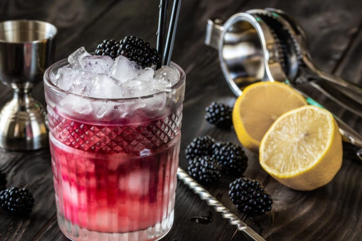 The Ultimate Bramble Cocktail Recipe + 6 Brambles With A Twist (2023)